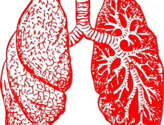 Tumore al polmone: “Tor Vergata” e IEO sviluppano una nuova tecnica di diagnosi precoce